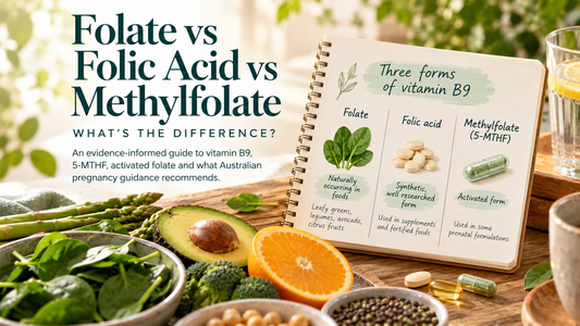 Folate vs folic acid vs methylfolate comparison showing vitamin B9 forms, 5-MTHF and folate-rich foods