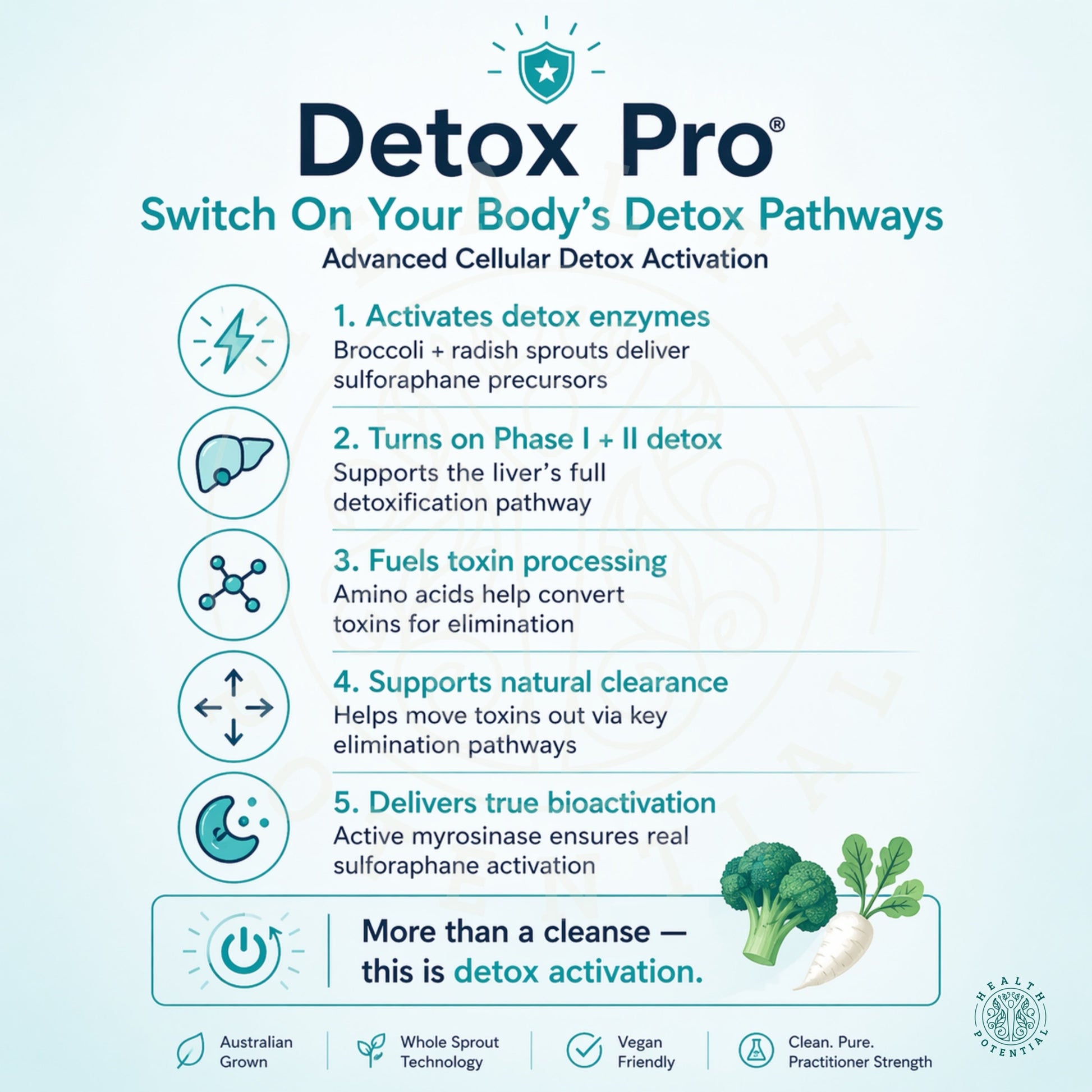 Orthoplex Detox Pro Switch On Detox Pathways Sulforaphane Broccoli Radish Sprout Phase I II Liver Detox Myrosinase Activation Health Potential