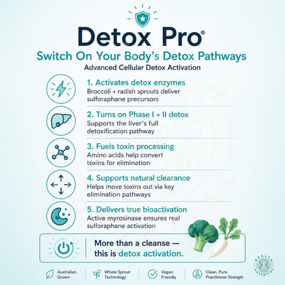 Orthoplex Detox Pro Switch On Detox Pathways Sulforaphane Broccoli Radish Sprout Phase I II Liver Detox Myrosinase Activation Health Potential