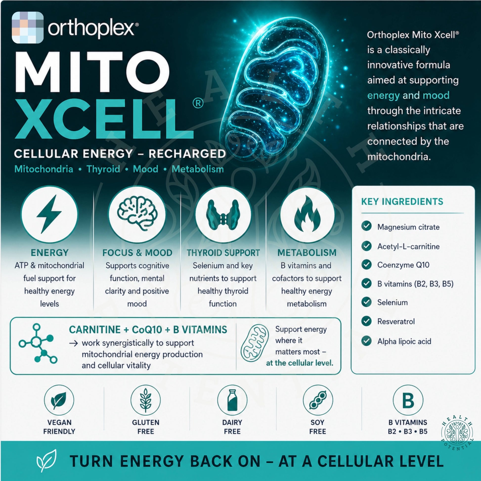 Mito Xcell Cellular Energy ALCAR CoQ10 Magnesium Resveratrol B Vitamins Mitochondria Thyroid Mood Metabolism Health Potential