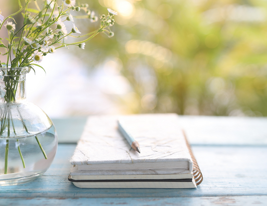 Practitioner Appointment - Free (15 minute) Consultation
